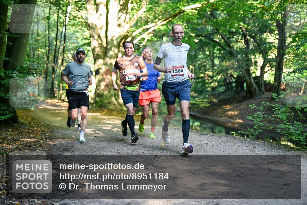 28.09.2025 - 33. Volkslauf durch das schöne Alstertal Dr. Thomas Lammeyer http://msf.ph/oto/8951184 28.09.2025 10:17:00 Laufen 1577, 1586 meine-sportfotos.de