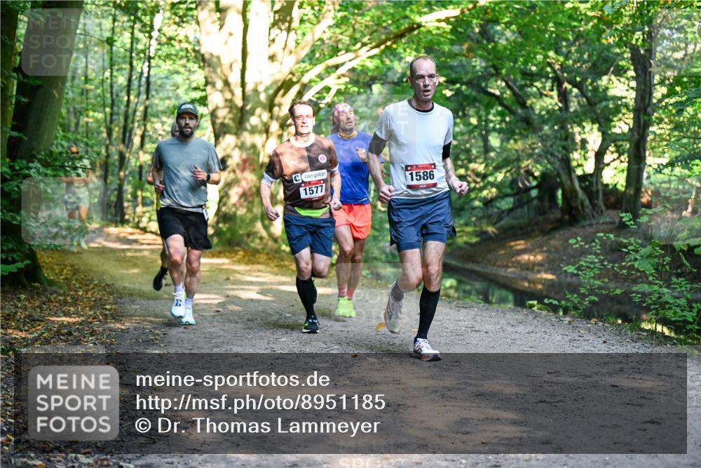 28.09.2025 - 33. Volkslauf durch das schöne Alstertal Dr. Thomas Lammeyer http://msf.ph/oto/8951185 28.09.2025 10:17:00 Laufen 1577, 1586 meine-sportfotos.de