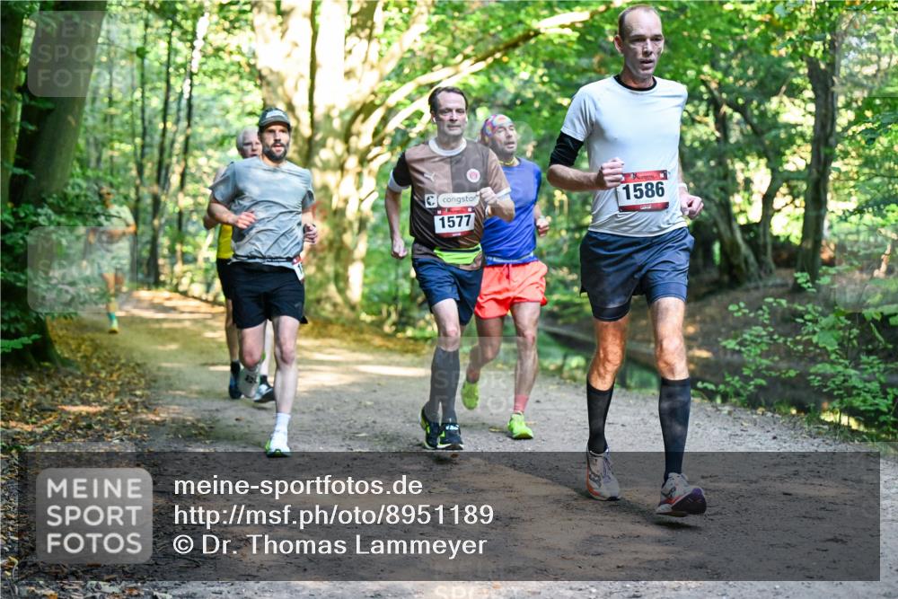 28.09.2025 - 33. Volkslauf durch das schöne Alstertal Dr. Thomas Lammeyer http://msf.ph/oto/8951189 28.09.2025 10:17:01 Laufen 1577, 1586 meine-sportfotos.de