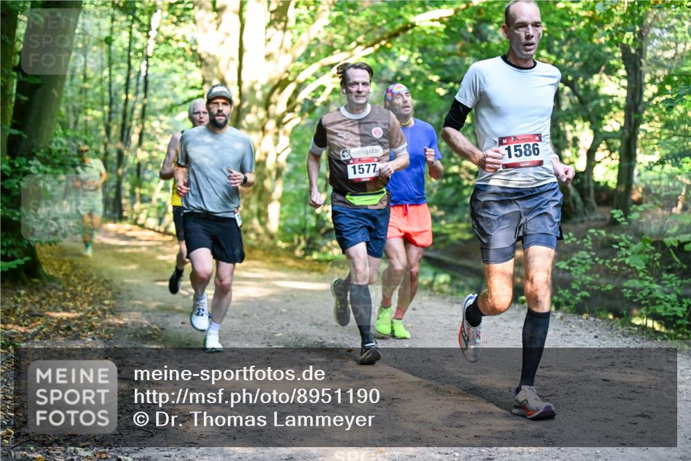 28.09.2025 - 33. Volkslauf durch das schöne Alstertal Dr. Thomas Lammeyer http://msf.ph/oto/8951190 28.09.2025 10:17:01 Laufen 1577, 1586 meine-sportfotos.de