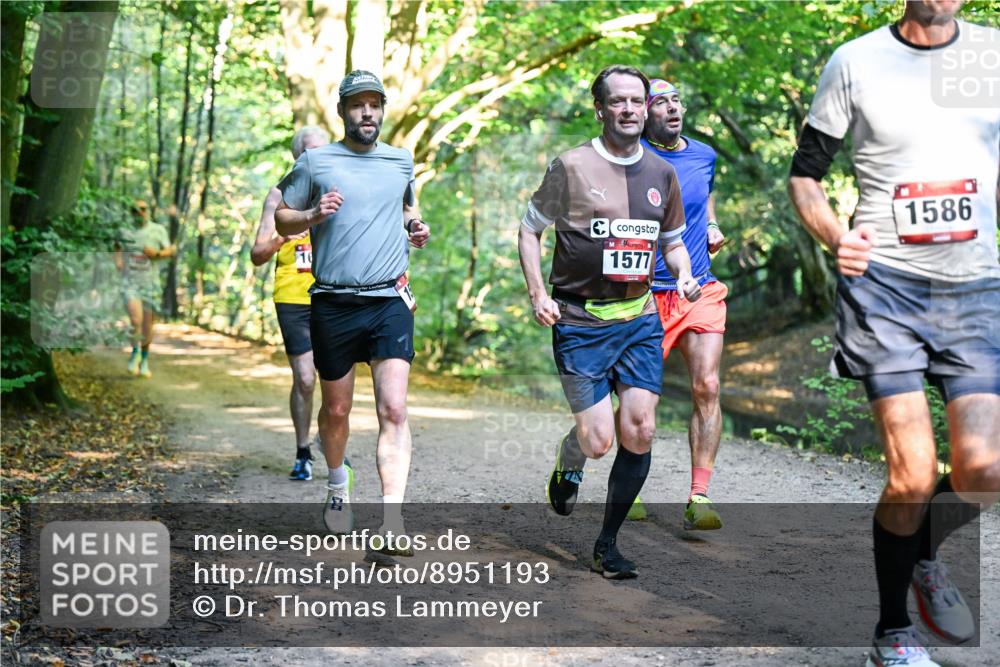 28.09.2025 - 33. Volkslauf durch das schöne Alstertal Dr. Thomas Lammeyer http://msf.ph/oto/8951193 28.09.2025 10:17:02 Laufen 1586, 10, 1577 meine-sportfotos.de
