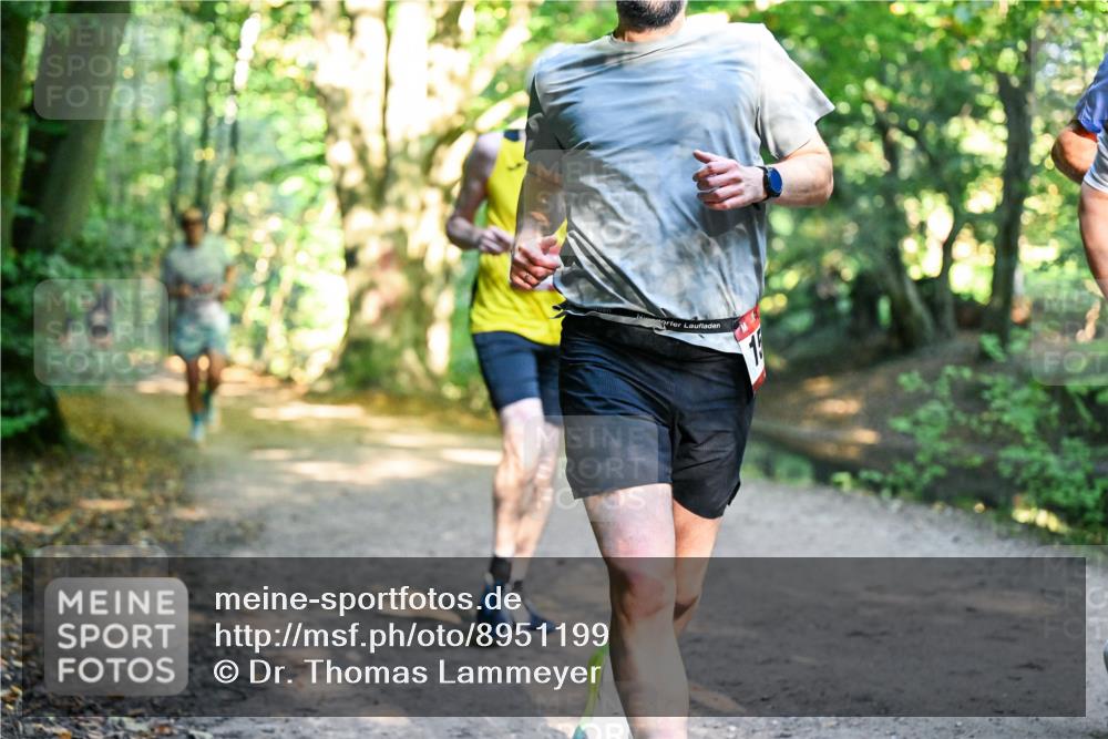 28.09.2025 - 33. Volkslauf durch das schöne Alstertal Dr. Thomas Lammeyer http://msf.ph/oto/8951199 28.09.2025 10:17:03 Laufen 15 meine-sportfotos.de