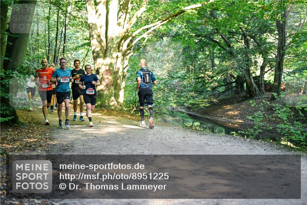 28.09.2025 - 33. Volkslauf durch das schöne Alstertal Dr. Thomas Lammeyer http://msf.ph/oto/8951225 28.09.2025 10:17:08 Laufen 1570, 0, 1593, 154, 1006 meine-sportfotos.de