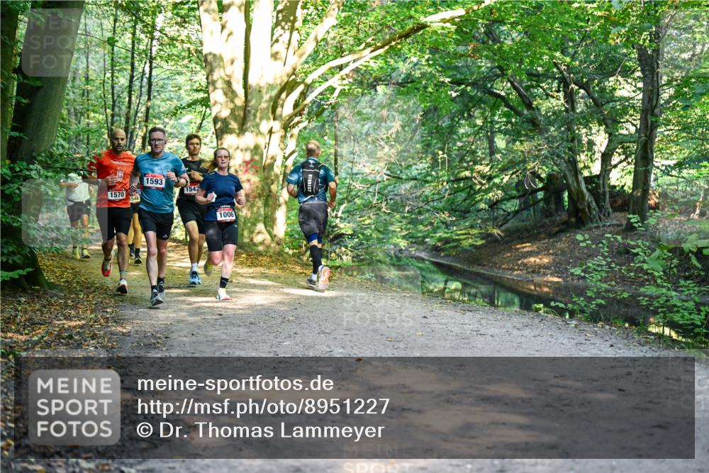 28.09.2025 - 33. Volkslauf durch das schöne Alstertal Dr. Thomas Lammeyer http://msf.ph/oto/8951227 28.09.2025 10:17:08 Laufen 1593, 1570, 1542, 1548, 1006 meine-sportfotos.de