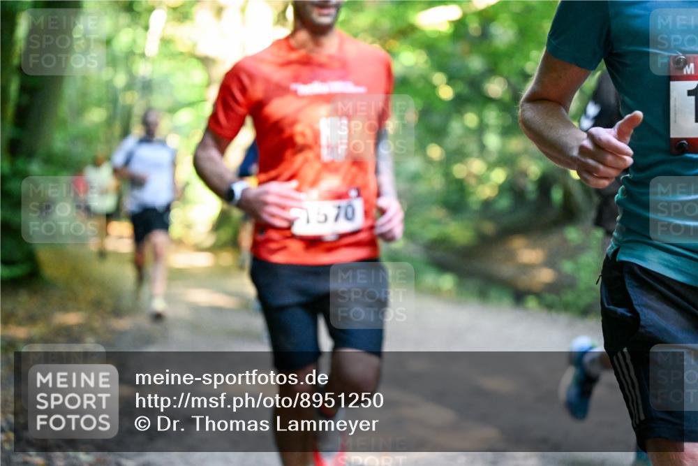 28.09.2025 - 33. Volkslauf durch das schöne Alstertal Dr. Thomas Lammeyer http://msf.ph/oto/8951250 28.09.2025 10:17:12 Laufen 1570 meine-sportfotos.de