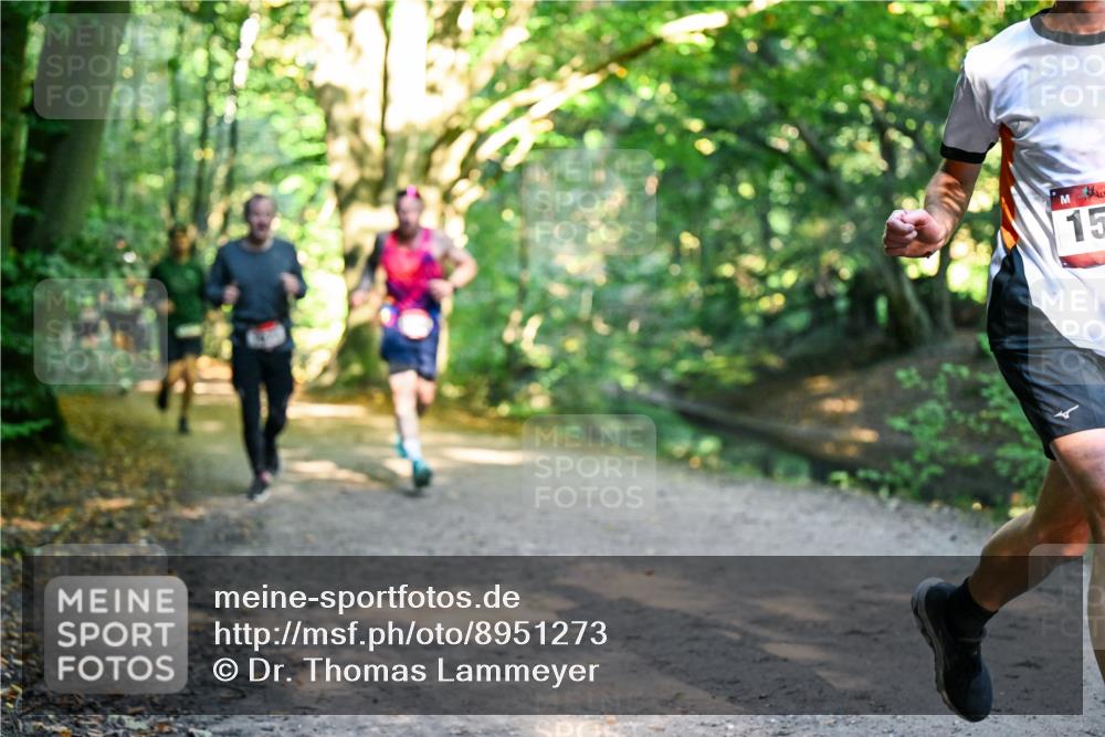 28.09.2025 - 33. Volkslauf durch das schöne Alstertal Dr. Thomas Lammeyer http://msf.ph/oto/8951273 28.09.2025 10:17:17 Laufen 15 meine-sportfotos.de