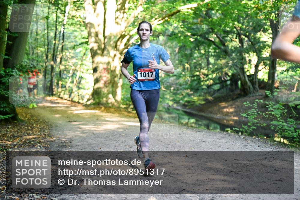 28.09.2025 - 33. Volkslauf durch das schöne Alstertal Dr. Thomas Lammeyer http://msf.ph/oto/8951317 28.09.2025 10:17:25 Laufen 1017 meine-sportfotos.de