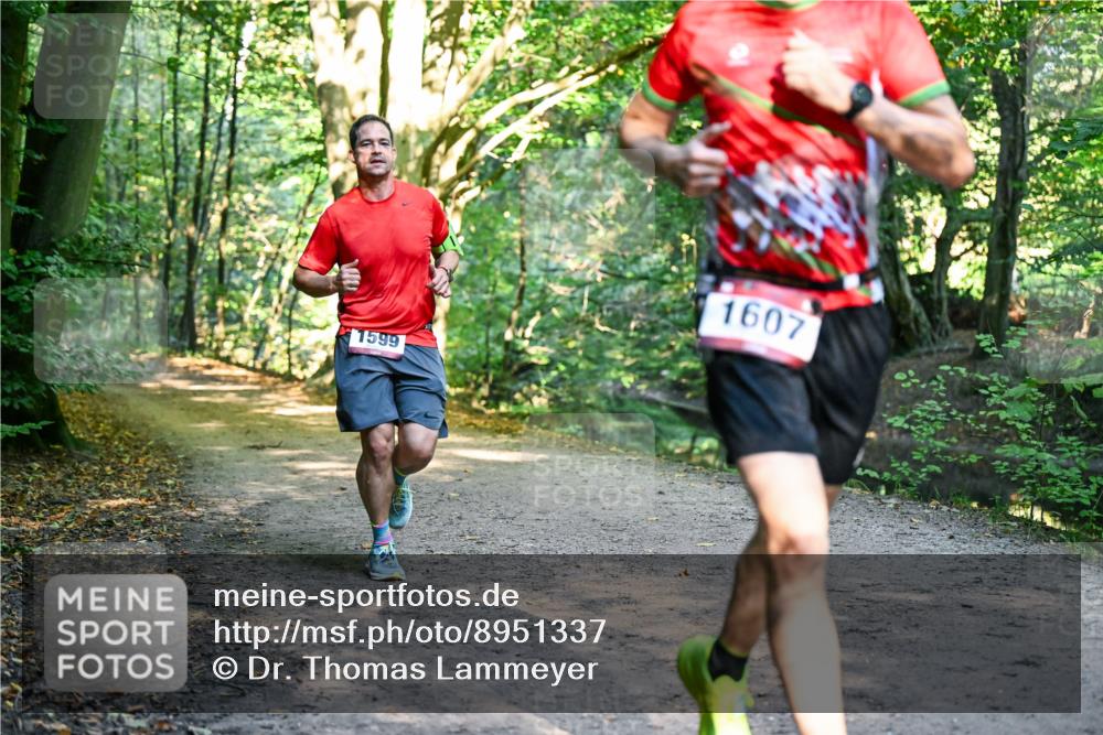 28.09.2025 - 33. Volkslauf durch das schöne Alstertal Dr. Thomas Lammeyer http://msf.ph/oto/8951337 28.09.2025 10:17:31 Laufen 1599, 1607 meine-sportfotos.de