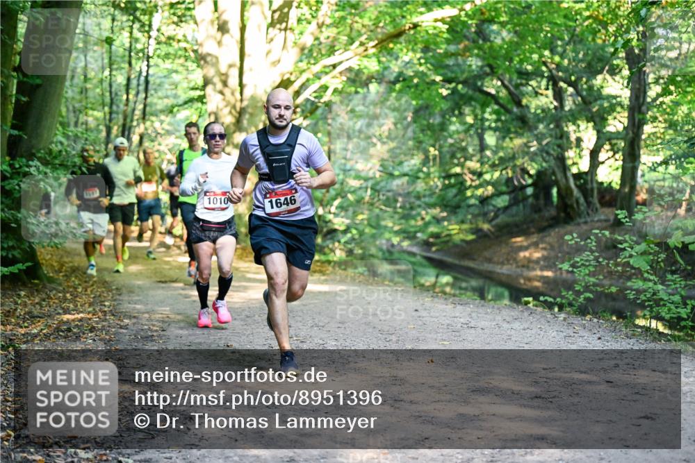 28.09.2025 - 33. Volkslauf durch das schöne Alstertal Dr. Thomas Lammeyer http://msf.ph/oto/8951396 28.09.2025 10:17:51 Laufen 1667, 1010, 1646 meine-sportfotos.de