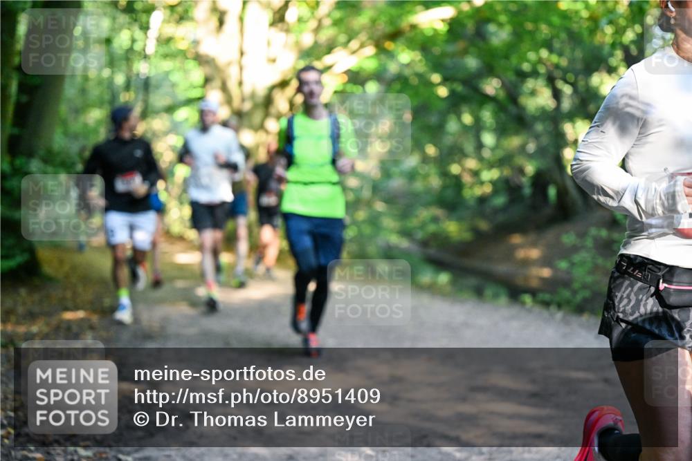28.09.2025 - 33. Volkslauf durch das schöne Alstertal Dr. Thomas Lammeyer http://msf.ph/oto/8951409 28.09.2025 10:17:53 Laufen  meine-sportfotos.de