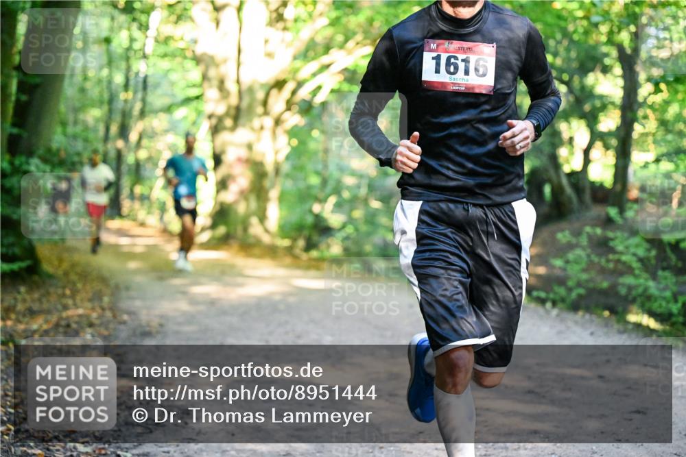 28.09.2025 - 33. Volkslauf durch das schöne Alstertal Dr. Thomas Lammeyer http://msf.ph/oto/8951444 28.09.2025 10:18:00 Laufen 1616 meine-sportfotos.de