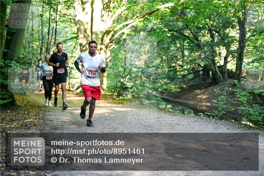 28.09.2025 - 33. Volkslauf durch das schöne Alstertal Dr. Thomas Lammeyer http://msf.ph/oto/8951461 28.09.2025 10:18:04 Laufen 1123, 1590, 1750 meine-sportfotos.de