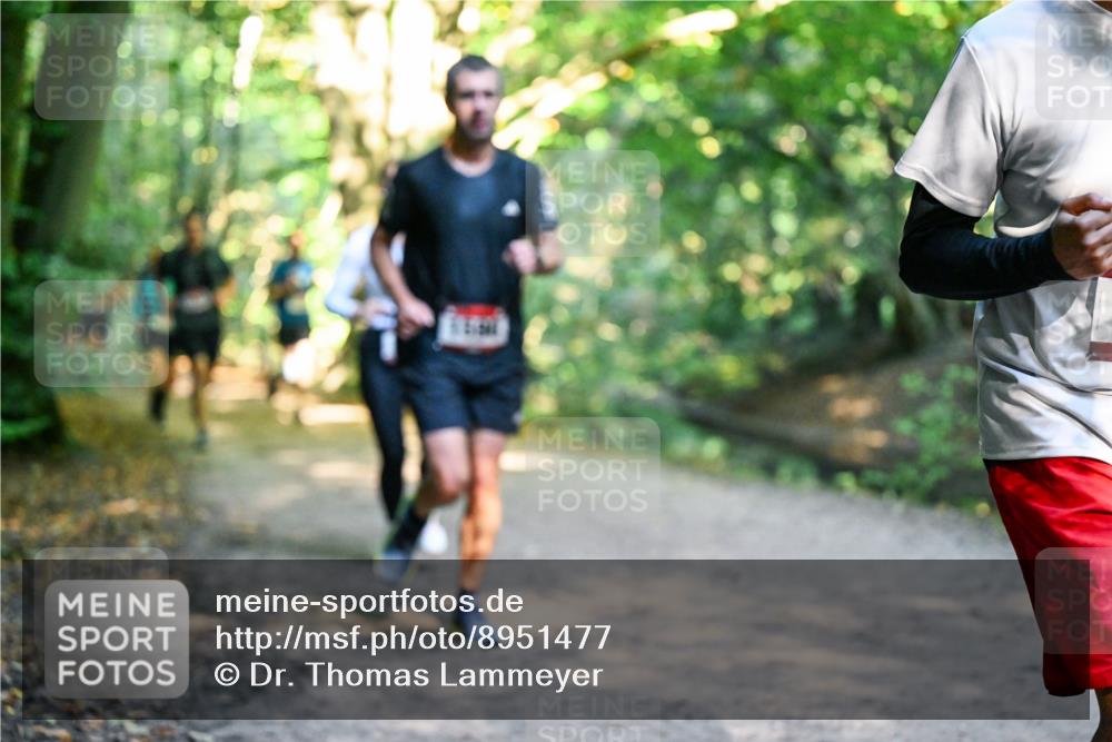 28.09.2025 - 33. Volkslauf durch das schöne Alstertal Dr. Thomas Lammeyer http://msf.ph/oto/8951477 28.09.2025 10:18:06 Laufen  meine-sportfotos.de