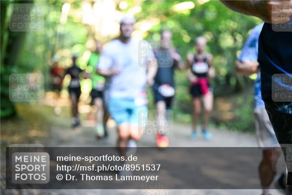 28.09.2025 - 33. Volkslauf durch das schöne Alstertal Dr. Thomas Lammeyer http://msf.ph/oto/8951537 28.09.2025 10:18:17 Laufen  meine-sportfotos.de