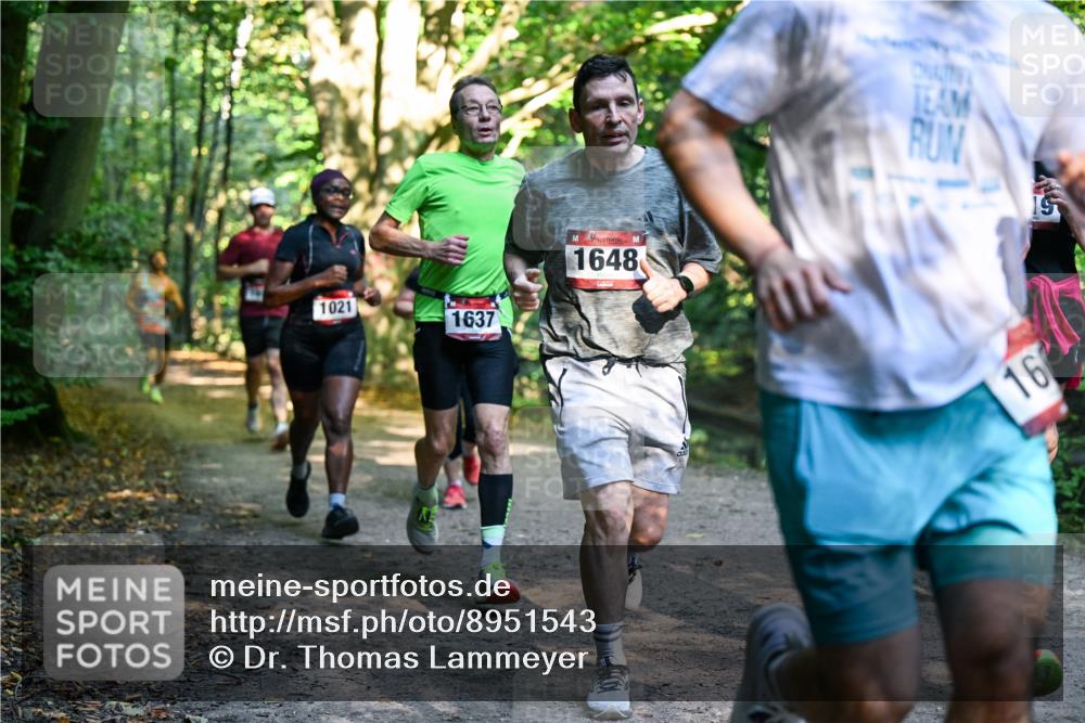28.09.2025 - 33. Volkslauf durch das schöne Alstertal Dr. Thomas Lammeyer http://msf.ph/oto/8951543 28.09.2025 10:18:19 Laufen 1021, 1637, 1648, 15, 16 meine-sportfotos.de