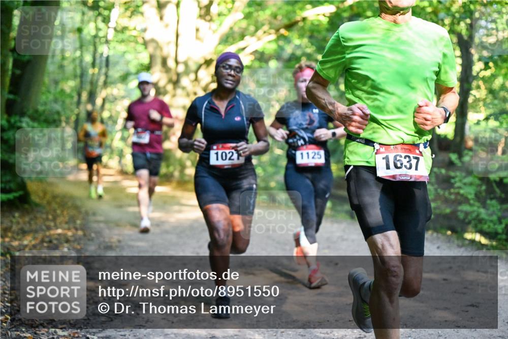28.09.2025 - 33. Volkslauf durch das schöne Alstertal Dr. Thomas Lammeyer http://msf.ph/oto/8951550 28.09.2025 10:18:20 Laufen 102, 1125, 1637 meine-sportfotos.de