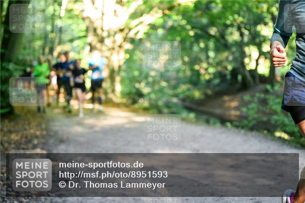 28.09.2025 - 33. Volkslauf durch das schöne Alstertal Dr. Thomas Lammeyer http://msf.ph/oto/8951593 28.09.2025 10:18:39 Laufen  meine-sportfotos.de