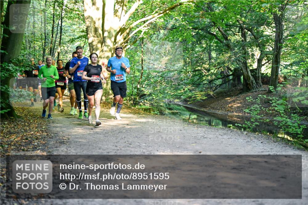 28.09.2025 - 33. Volkslauf durch das schöne Alstertal Dr. Thomas Lammeyer http://msf.ph/oto/8951595 28.09.2025 10:18:40 Laufen 1629, 1605, 1026, 18, 24, 1625 meine-sportfotos.de