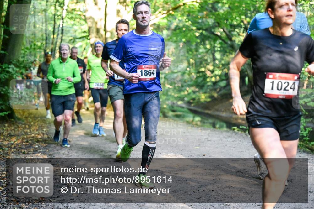 28.09.2025 - 33. Volkslauf durch das schöne Alstertal Dr. Thomas Lammeyer http://msf.ph/oto/8951614 28.09.2025 10:18:44 Laufen 1636, 1864, 1024 meine-sportfotos.de