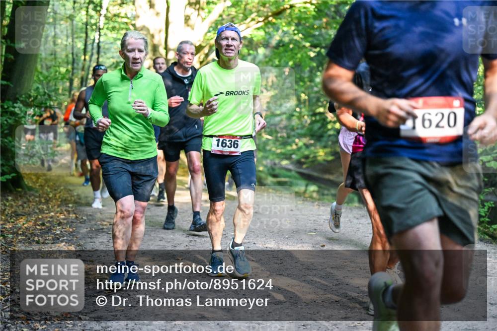 28.09.2025 - 33. Volkslauf durch das schöne Alstertal Dr. Thomas Lammeyer http://msf.ph/oto/8951624 28.09.2025 10:18:45 Laufen 1636, 620 meine-sportfotos.de