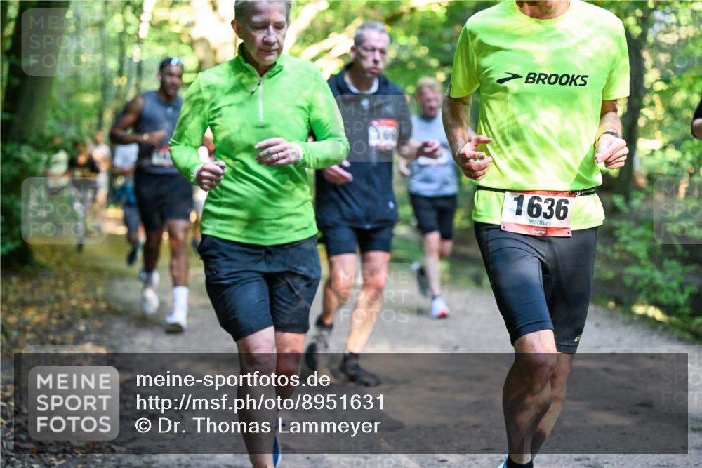 28.09.2025 - 33. Volkslauf durch das schöne Alstertal Dr. Thomas Lammeyer http://msf.ph/oto/8951631 28.09.2025 10:18:46 Laufen 1636 meine-sportfotos.de