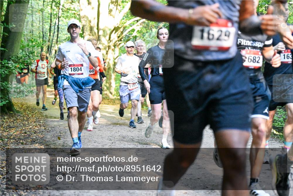 28.09.2025 - 33. Volkslauf durch das schöne Alstertal Dr. Thomas Lammeyer http://msf.ph/oto/8951642 28.09.2025 10:18:48 Laufen 1676, 1804, 60, 1639, 1629, 682, 163 meine-sportfotos.de