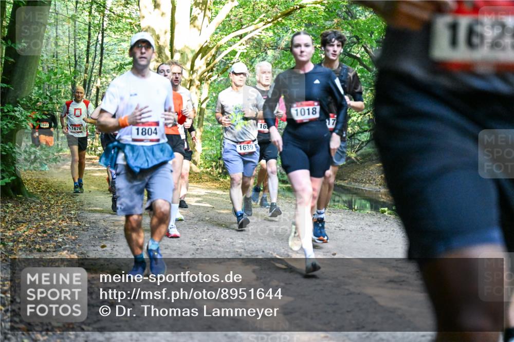 28.09.2025 - 33. Volkslauf durch das schöne Alstertal Dr. Thomas Lammeyer http://msf.ph/oto/8951644 28.09.2025 10:18:49 Laufen 641, 1676, 1804, 1639, 1018, 16, 17, 162 meine-sportfotos.de