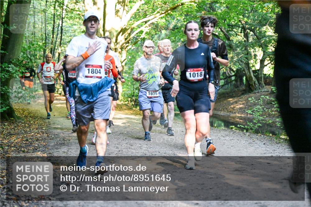 28.09.2025 - 33. Volkslauf durch das schöne Alstertal Dr. Thomas Lammeyer http://msf.ph/oto/8951645 28.09.2025 10:18:49 Laufen 102, 1676, 1804, 0, 1639, 1018 meine-sportfotos.de
