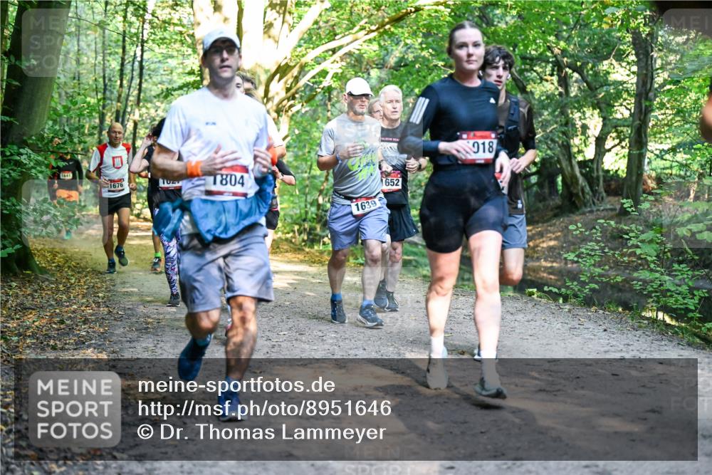 28.09.2025 - 33. Volkslauf durch das schöne Alstertal Dr. Thomas Lammeyer http://msf.ph/oto/8951646 28.09.2025 10:18:49 Laufen 1676, 1804, 1639, 1652, 918 meine-sportfotos.de