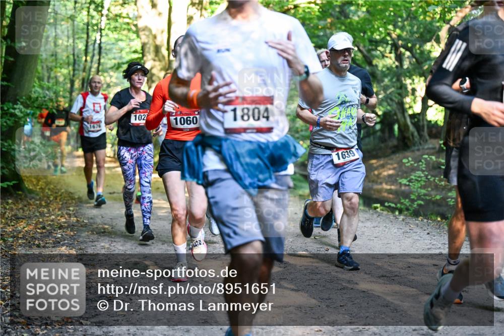 28.09.2025 - 33. Volkslauf durch das schöne Alstertal Dr. Thomas Lammeyer http://msf.ph/oto/8951651 28.09.2025 10:18:50 Laufen 102, 1060, 1804, 1639 meine-sportfotos.de