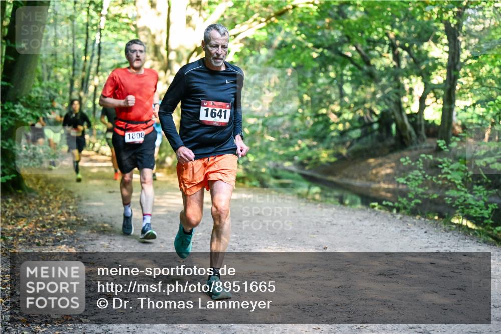 28.09.2025 - 33. Volkslauf durch das schöne Alstertal Dr. Thomas Lammeyer http://msf.ph/oto/8951665 28.09.2025 10:18:55 Laufen 1808, 1641 meine-sportfotos.de