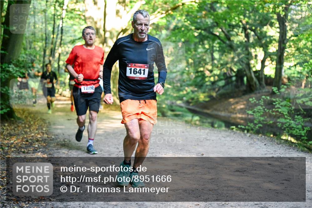 28.09.2025 - 33. Volkslauf durch das schöne Alstertal Dr. Thomas Lammeyer http://msf.ph/oto/8951666 28.09.2025 10:18:55 Laufen 1808, 1641 meine-sportfotos.de