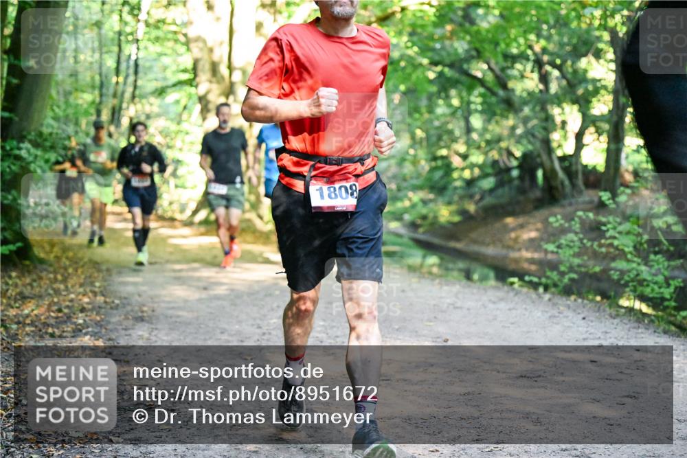 28.09.2025 - 33. Volkslauf durch das schöne Alstertal Dr. Thomas Lammeyer http://msf.ph/oto/8951672 28.09.2025 10:18:56 Laufen 1808 meine-sportfotos.de
