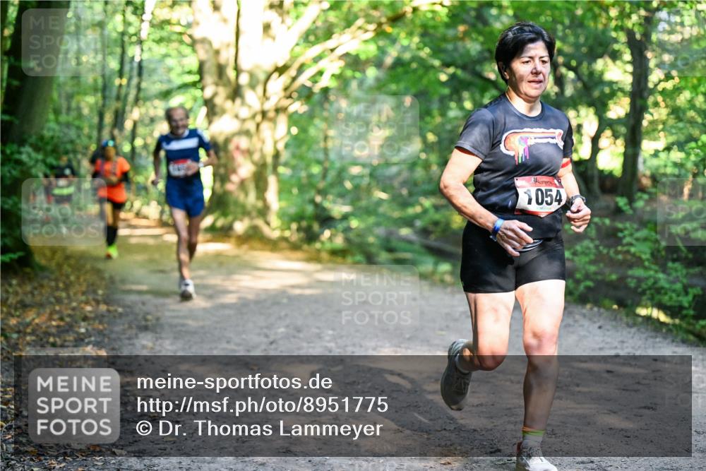 28.09.2025 - 33. Volkslauf durch das schöne Alstertal Dr. Thomas Lammeyer http://msf.ph/oto/8951775 28.09.2025 10:19:14 Laufen 1054 meine-sportfotos.de