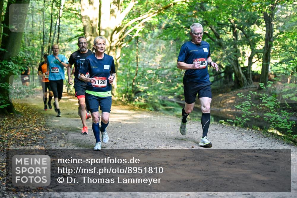 28.09.2025 - 33. Volkslauf durch das schöne Alstertal Dr. Thomas Lammeyer http://msf.ph/oto/8951810 28.09.2025 10:19:20 Laufen 1654, 9, 128, 85 meine-sportfotos.de