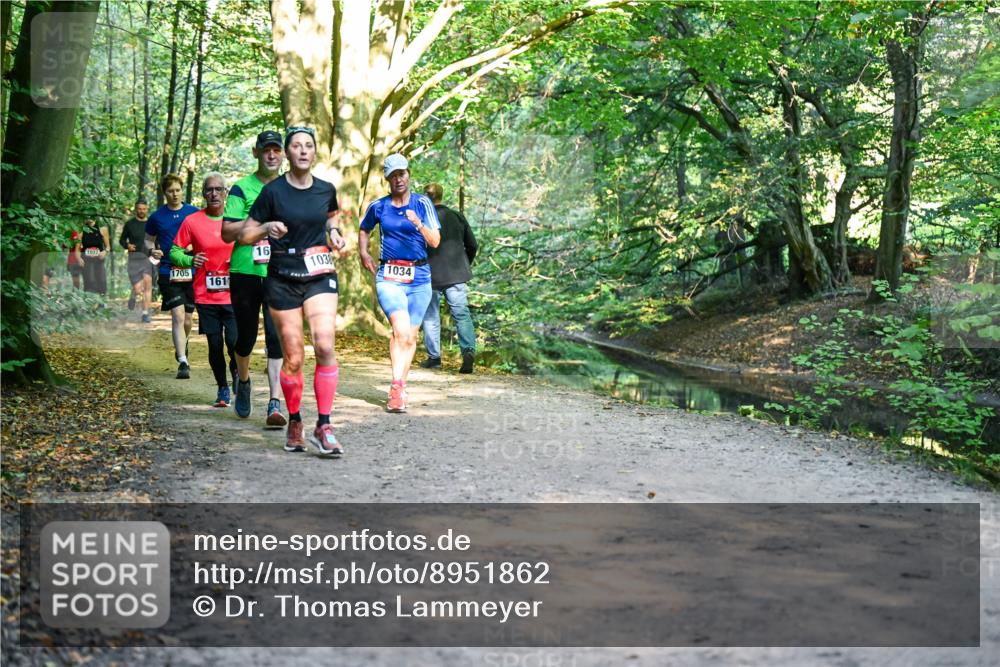 28.09.2025 - 33. Volkslauf durch das schöne Alstertal Dr. Thomas Lammeyer http://msf.ph/oto/8951862 28.09.2025 10:19:30 Laufen 1022, 1705, 161, 16, 1038, 1034 meine-sportfotos.de