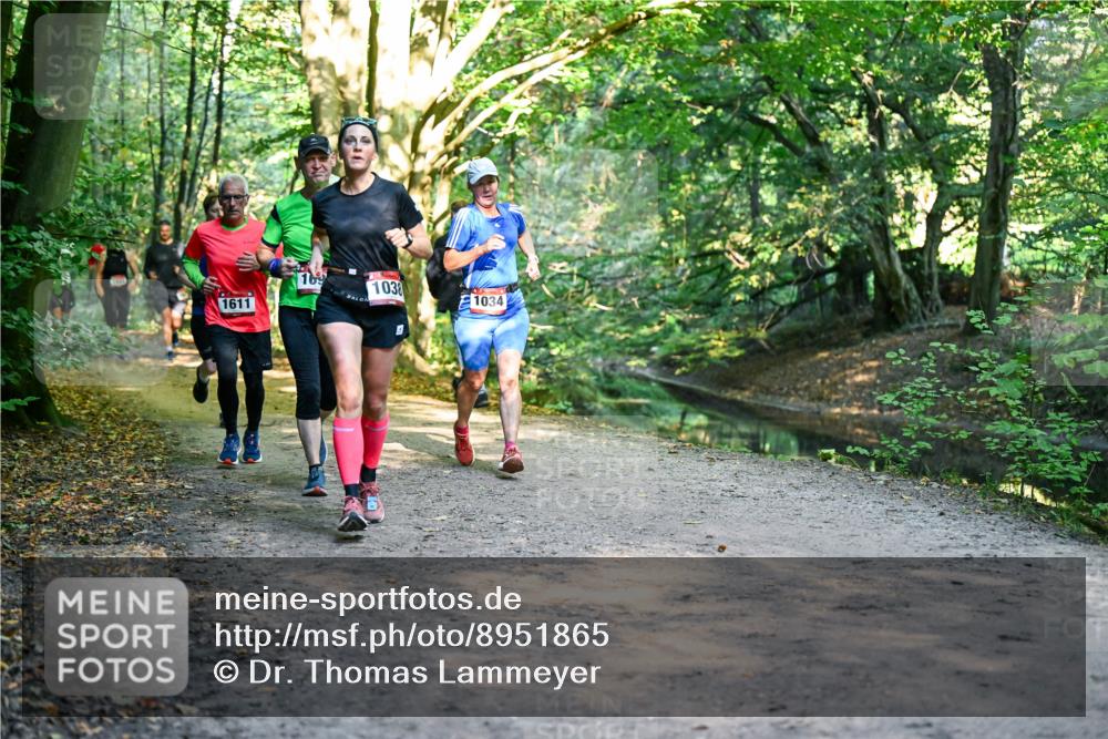28.09.2025 - 33. Volkslauf durch das schöne Alstertal Dr. Thomas Lammeyer http://msf.ph/oto/8951865 28.09.2025 10:19:30 Laufen 169, 1038, 1611, 1034 meine-sportfotos.de