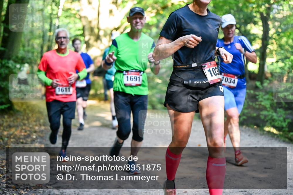 28.09.2025 - 33. Volkslauf durch das schöne Alstertal Dr. Thomas Lammeyer http://msf.ph/oto/8951875 28.09.2025 10:19:32 Laufen 1611, 1691, 103, 1034 meine-sportfotos.de