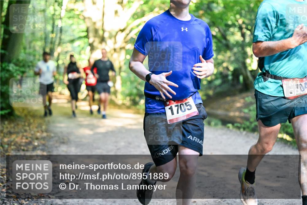28.09.2025 - 33. Volkslauf durch das schöne Alstertal Dr. Thomas Lammeyer http://msf.ph/oto/8951889 28.09.2025 10:19:35 Laufen 1705, 1704 meine-sportfotos.de