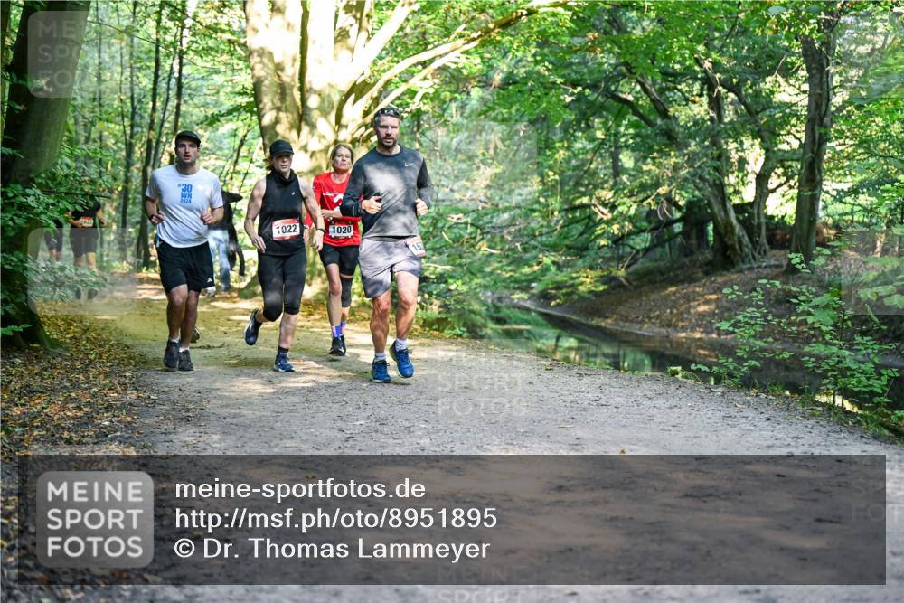 28.09.2025 - 33. Volkslauf durch das schöne Alstertal Dr. Thomas Lammeyer http://msf.ph/oto/8951895 28.09.2025 10:19:36 Laufen 30, 2024, 1022, 1020, 163 meine-sportfotos.de