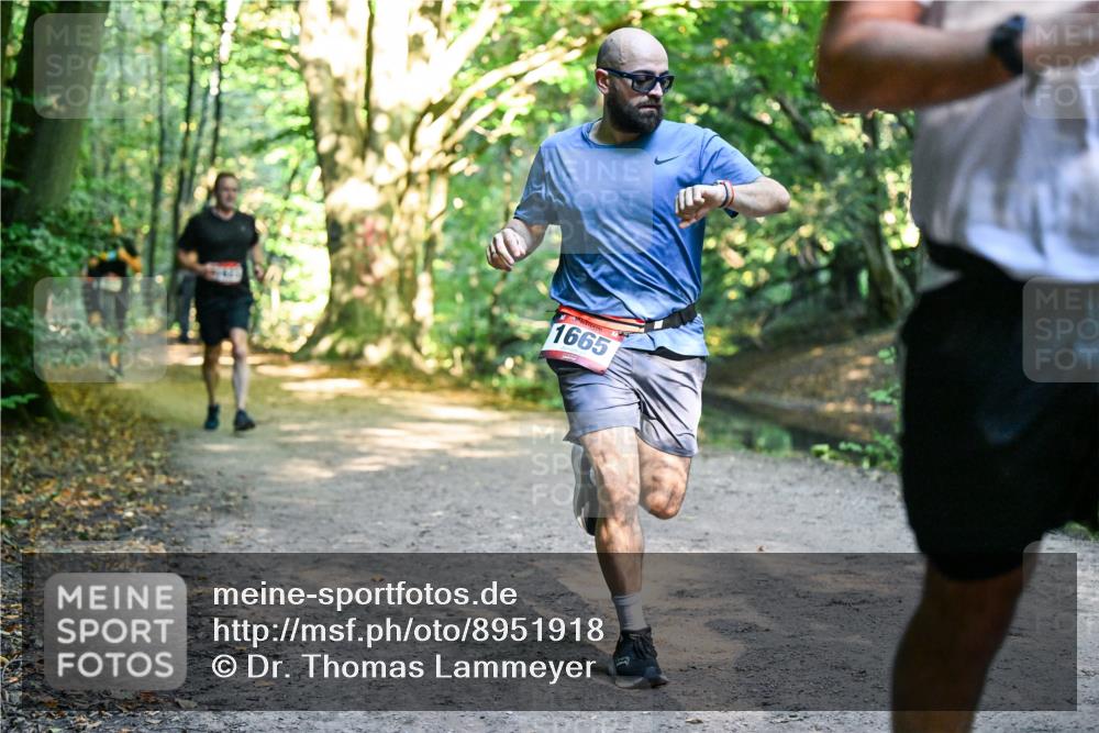 28.09.2025 - 33. Volkslauf durch das schöne Alstertal Dr. Thomas Lammeyer http://msf.ph/oto/8951918 28.09.2025 10:19:40 Laufen 1665 meine-sportfotos.de