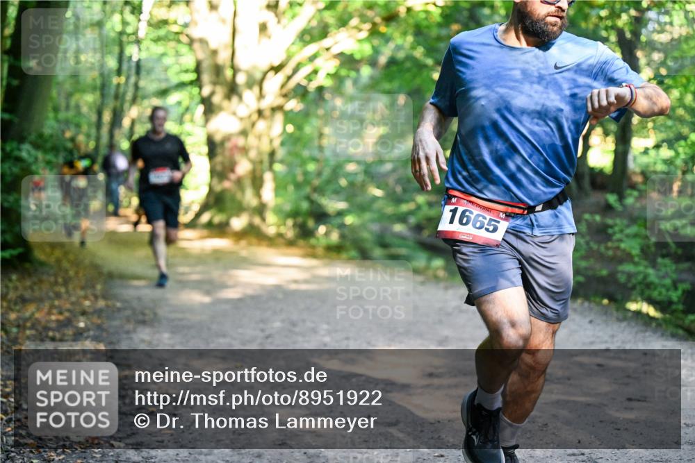 28.09.2025 - 33. Volkslauf durch das schöne Alstertal Dr. Thomas Lammeyer http://msf.ph/oto/8951922 28.09.2025 10:19:40 Laufen 1665 meine-sportfotos.de