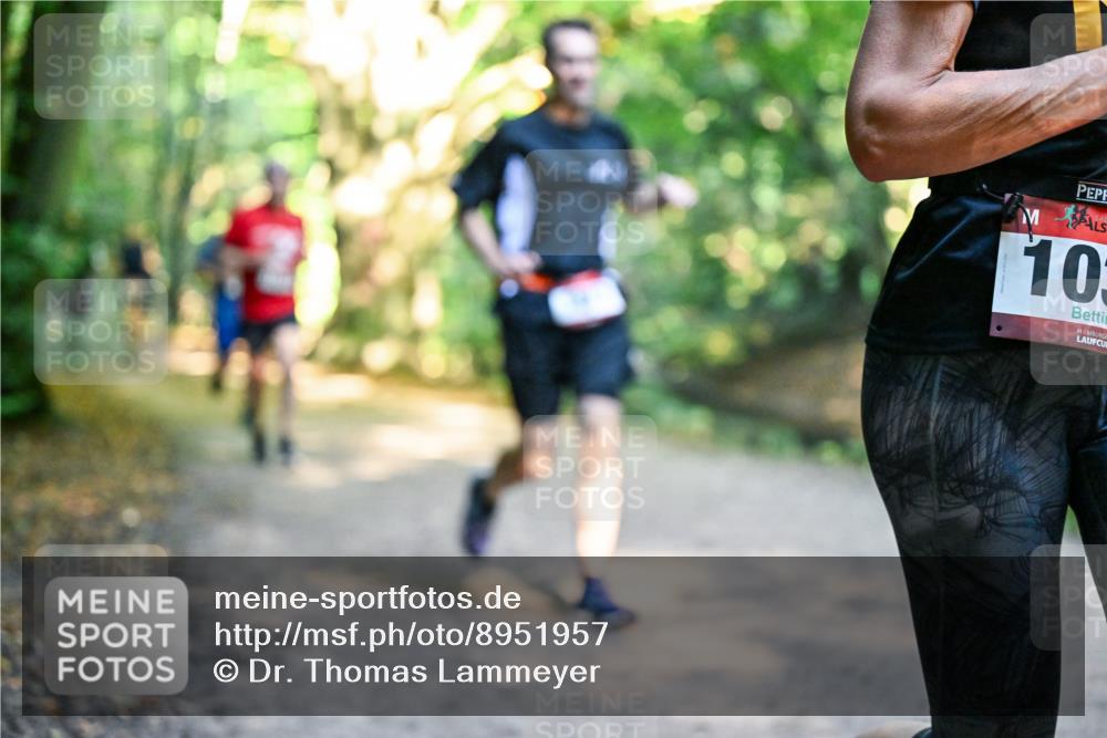 28.09.2025 - 33. Volkslauf durch das schöne Alstertal Dr. Thomas Lammeyer http://msf.ph/oto/8951957 28.09.2025 10:19:47 Laufen 10 meine-sportfotos.de
