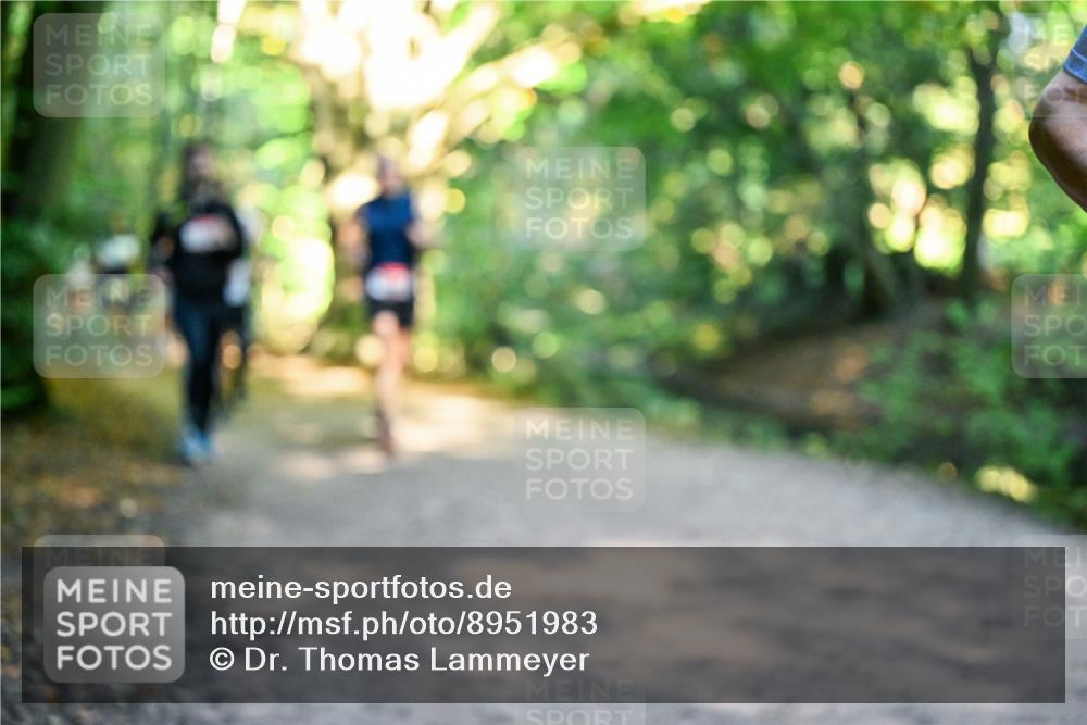 28.09.2025 - 33. Volkslauf durch das schöne Alstertal Dr. Thomas Lammeyer http://msf.ph/oto/8951983 28.09.2025 10:19:51 Laufen  meine-sportfotos.de