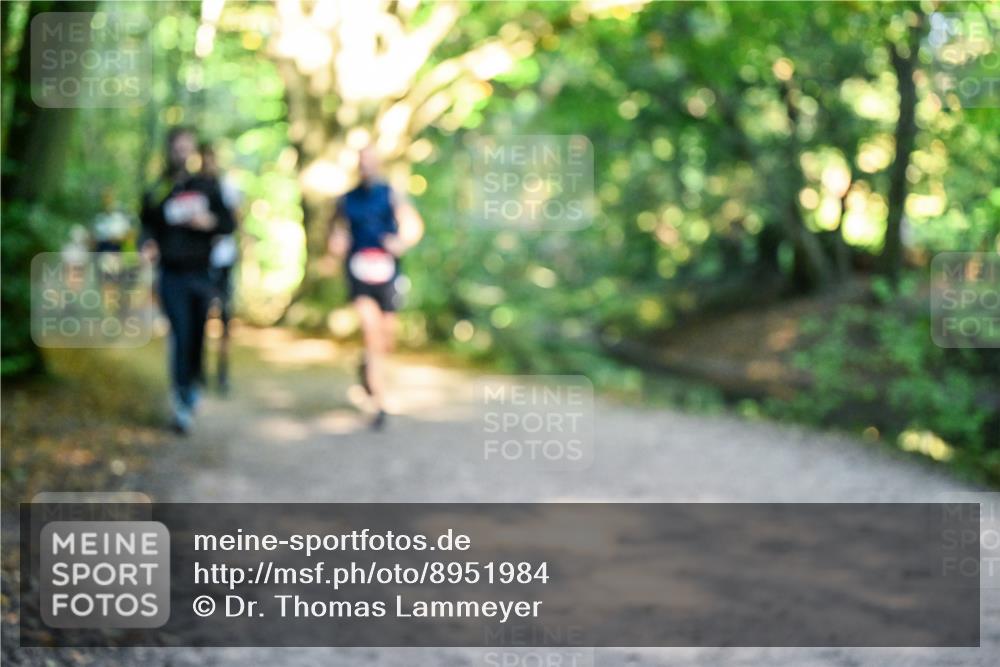 28.09.2025 - 33. Volkslauf durch das schöne Alstertal Dr. Thomas Lammeyer http://msf.ph/oto/8951984 28.09.2025 10:19:51 Laufen  meine-sportfotos.de