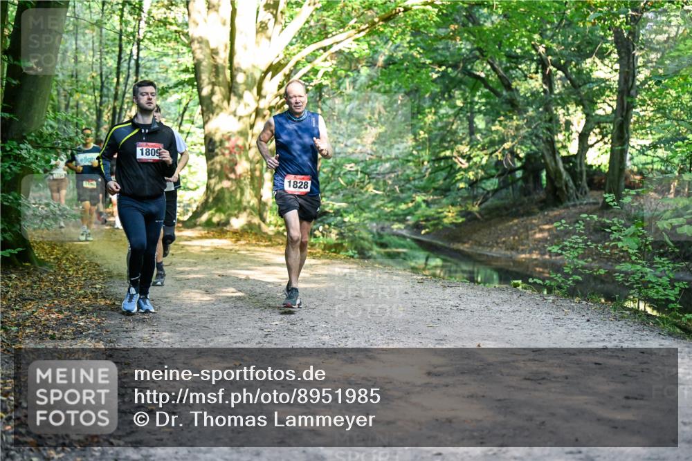 28.09.2025 - 33. Volkslauf durch das schöne Alstertal Dr. Thomas Lammeyer http://msf.ph/oto/8951985 28.09.2025 10:19:52 Laufen 1134, 1809, 1828 meine-sportfotos.de