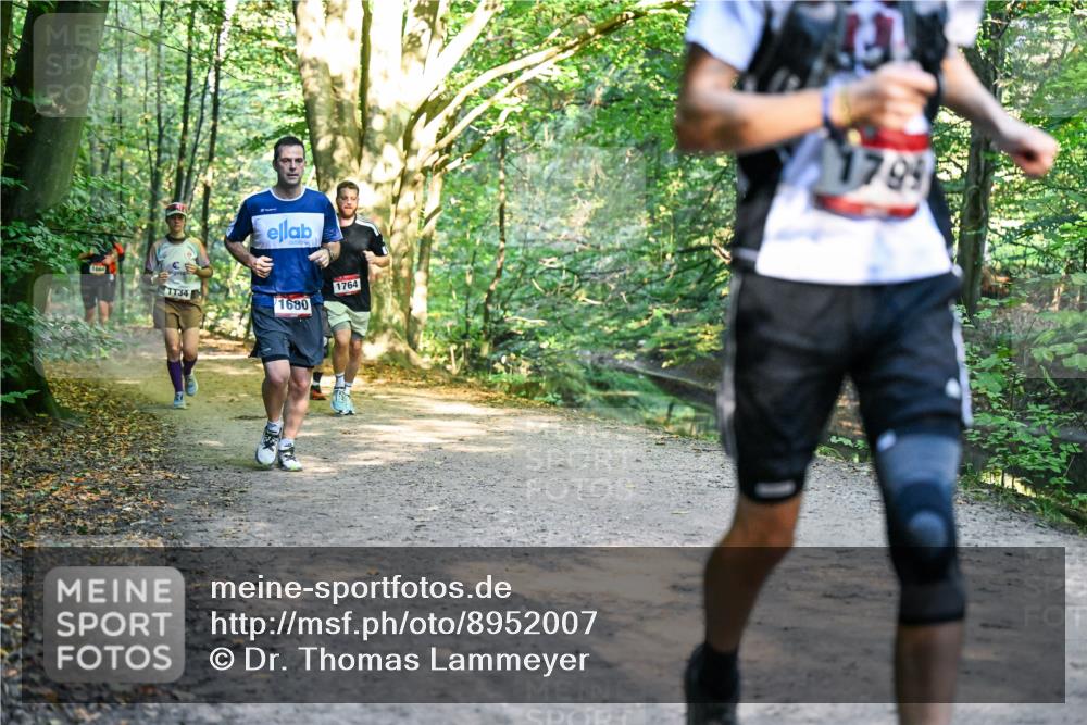 28.09.2025 - 33. Volkslauf durch das schöne Alstertal Dr. Thomas Lammeyer http://msf.ph/oto/8952007 28.09.2025 10:19:55 Laufen 1134, 1680, 1764, 1789 meine-sportfotos.de