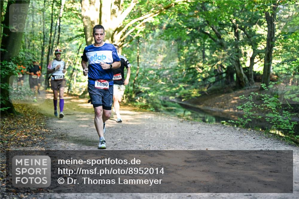 28.09.2025 - 33. Volkslauf durch das schöne Alstertal Dr. Thomas Lammeyer http://msf.ph/oto/8952014 28.09.2025 10:19:56 Laufen 1134, 1680, 1764 meine-sportfotos.de