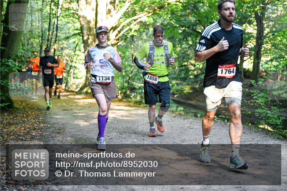 28.09.2025 - 33. Volkslauf durch das schöne Alstertal Dr. Thomas Lammeyer http://msf.ph/oto/8952030 28.09.2025 10:19:59 Laufen 1664, 1134, 1658, 1764 meine-sportfotos.de