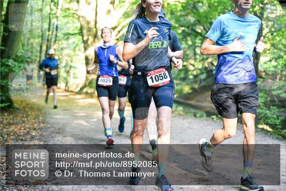 28.09.2025 - 33. Volkslauf durch das schöne Alstertal Dr. Thomas Lammeyer http://msf.ph/oto/8952085 28.09.2025 10:20:08 Laufen 1029, 961, 1058 meine-sportfotos.de
